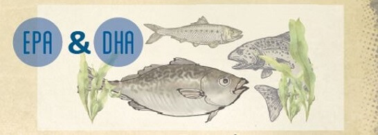 Marin omega-3 fatty acids epa dha Marin omega-3 fatty acids epa dha