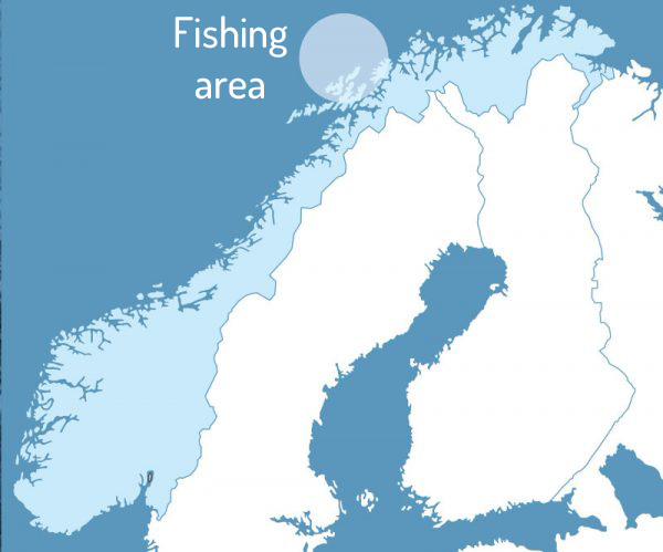 ENG 20200527 600x499 Fanggebiet Arktis