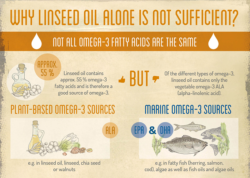 ENG 20200527 Infografik Leinoel omega-3 vegan algae ocean
