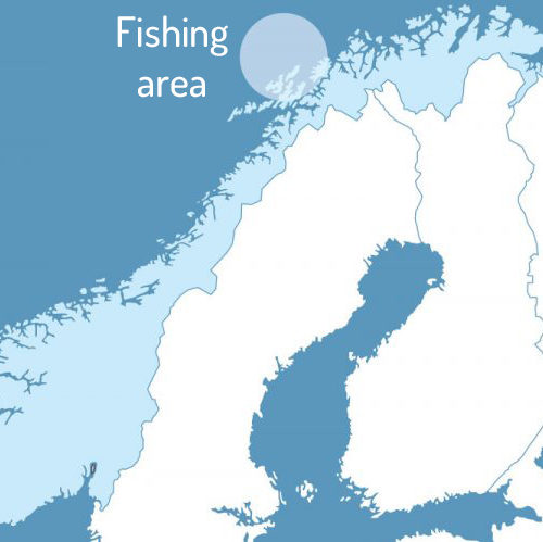 Arktis Fishing Area